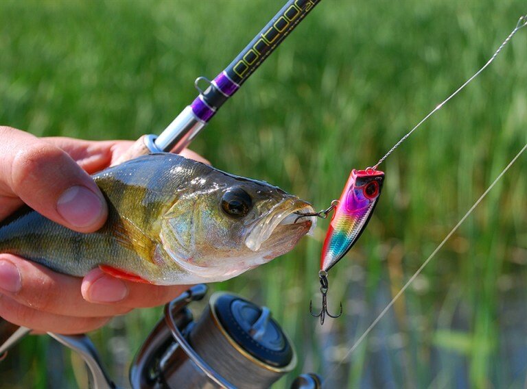 Ловля на поппер