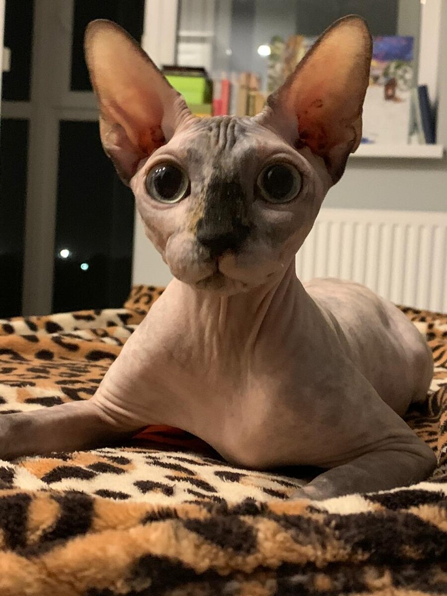 Мои любимые глазки…