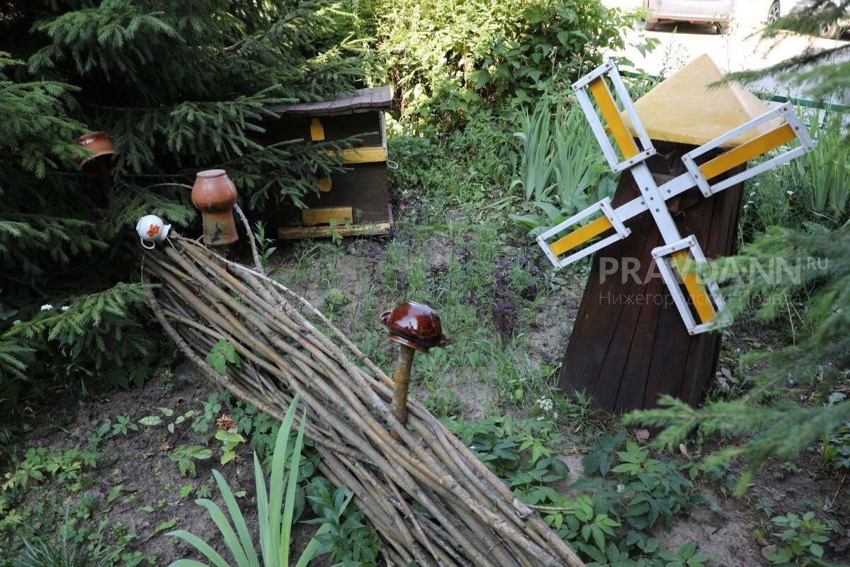    Двор дома №15 на улице Чаадаева в Нижнем Новгороде стал лучшим в России Елена Орленко