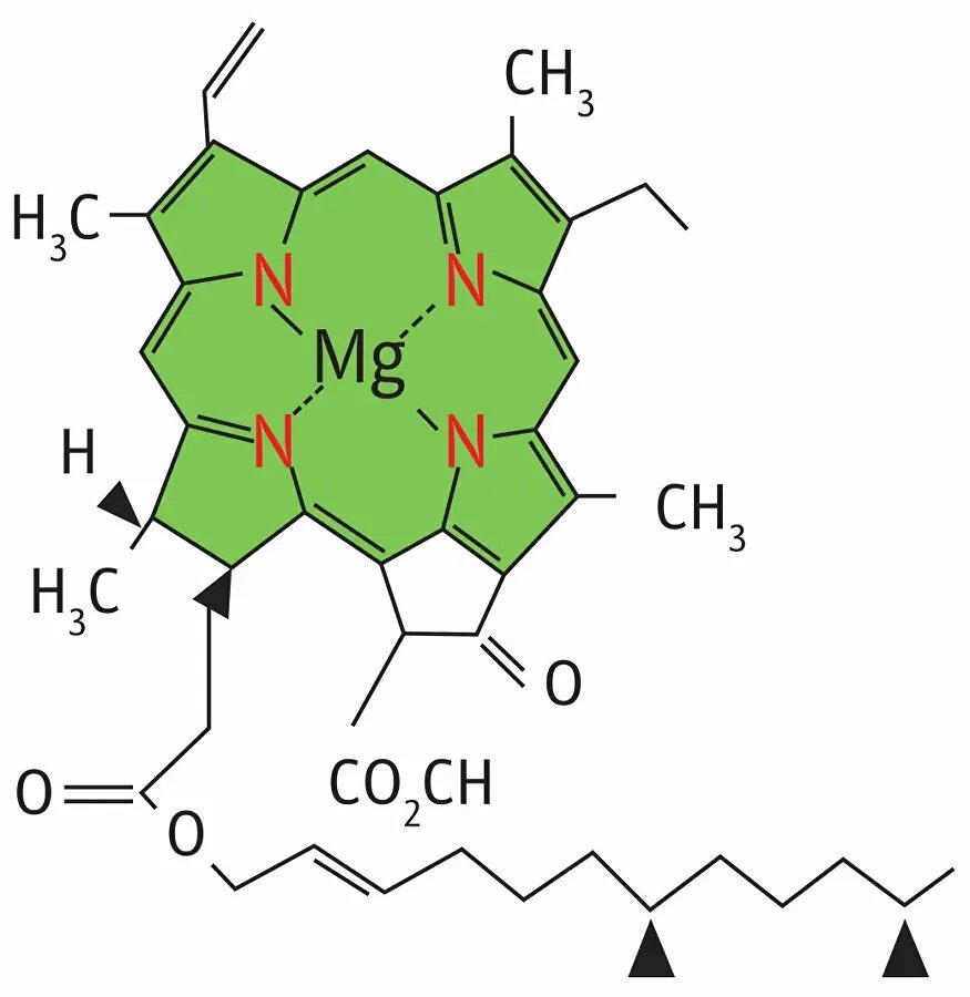 хлорофилл формула химическая. хлорофилл хим формула. хлорофилл формула. хлорофилл формула. молекула хлорофилла формула.