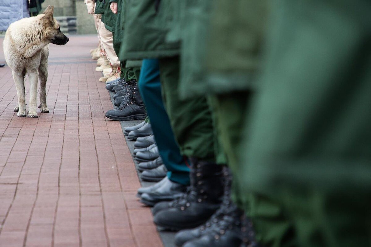 Фото: Александр Подгорчук / «Коммерсантъ»