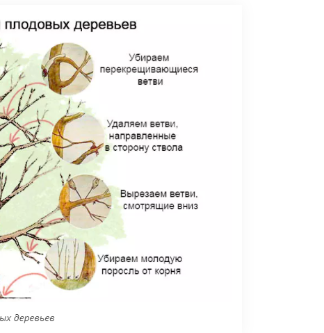 Деревянные буквы