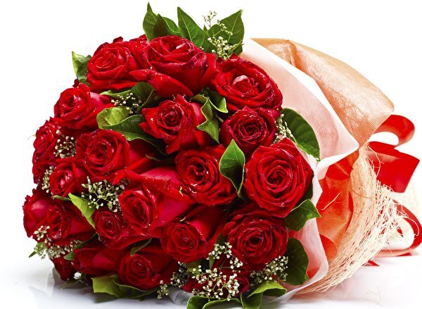 Фото из интернета