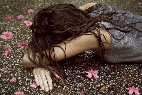 из свободных источников