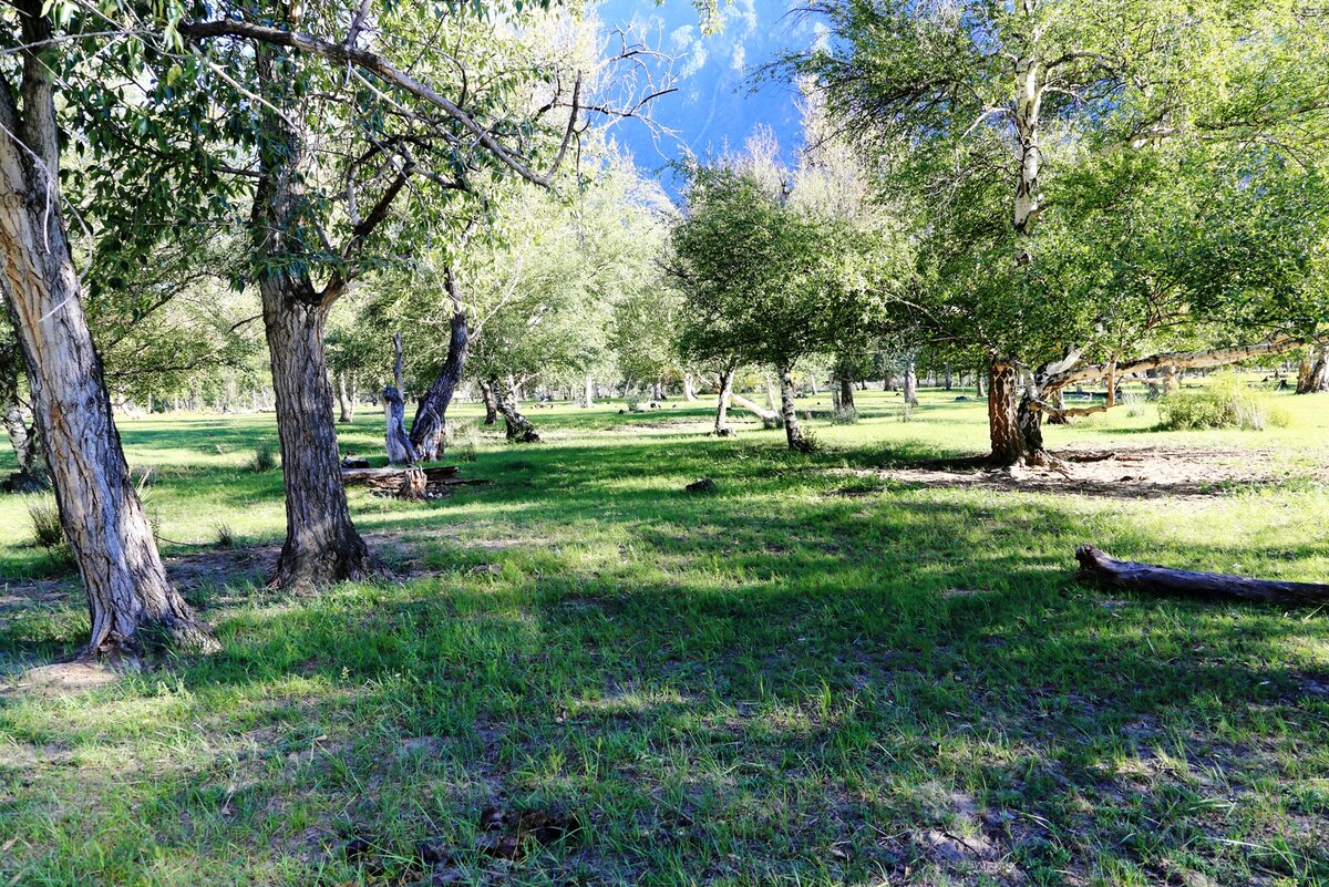 17.08.2022  15:47:41