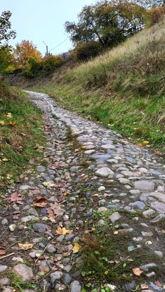 Ну, улица же! 