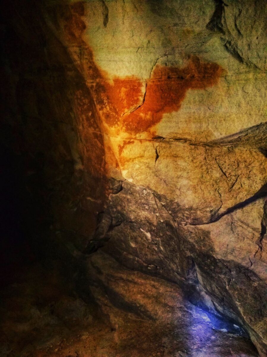 Автор фото: Надежда Савинова