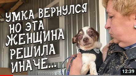 Спасение животных / Вернулась в приют, но надолго ли?