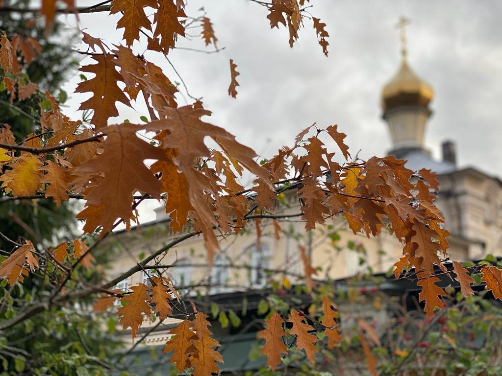 Всё никак не могу завести хорошую привычку - смотреть церковный календарь хотя бы на каждую следующую неделю. Наступает день, а ты уже знаешь, память какого святого сегодня.-2