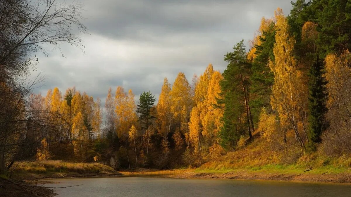 Особое внимание уделяли лесным духам. Фото: pxhere.com