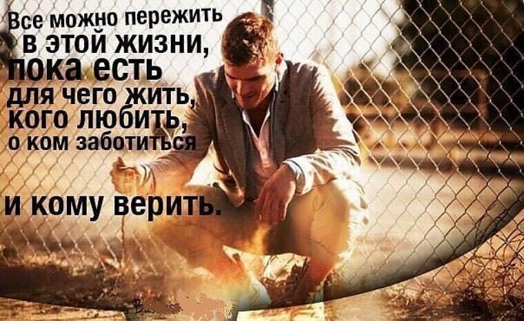 Источник фото: Яндекс фото.