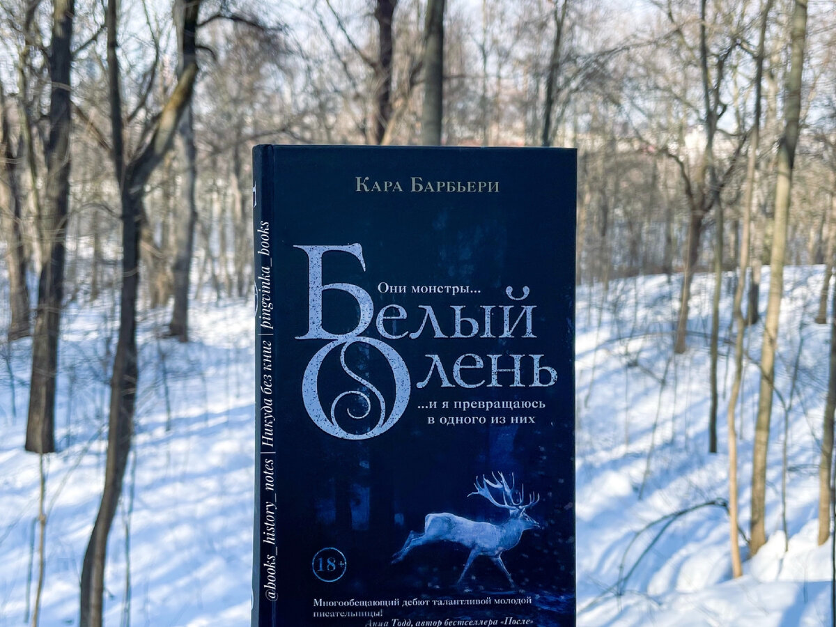 фото автора статьи