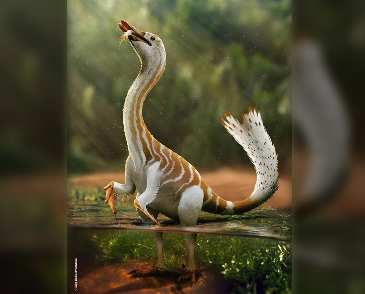 Опа! Карасик!