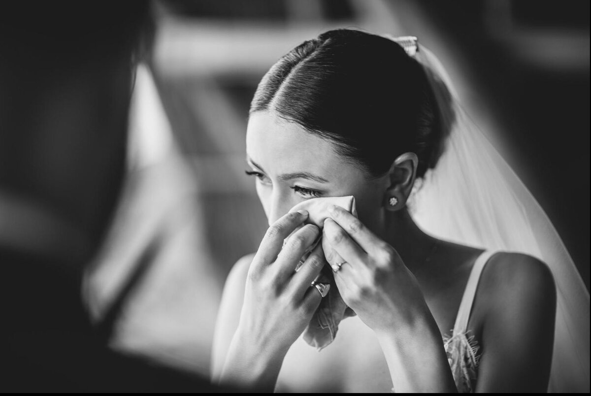 Яндекс. Картинки