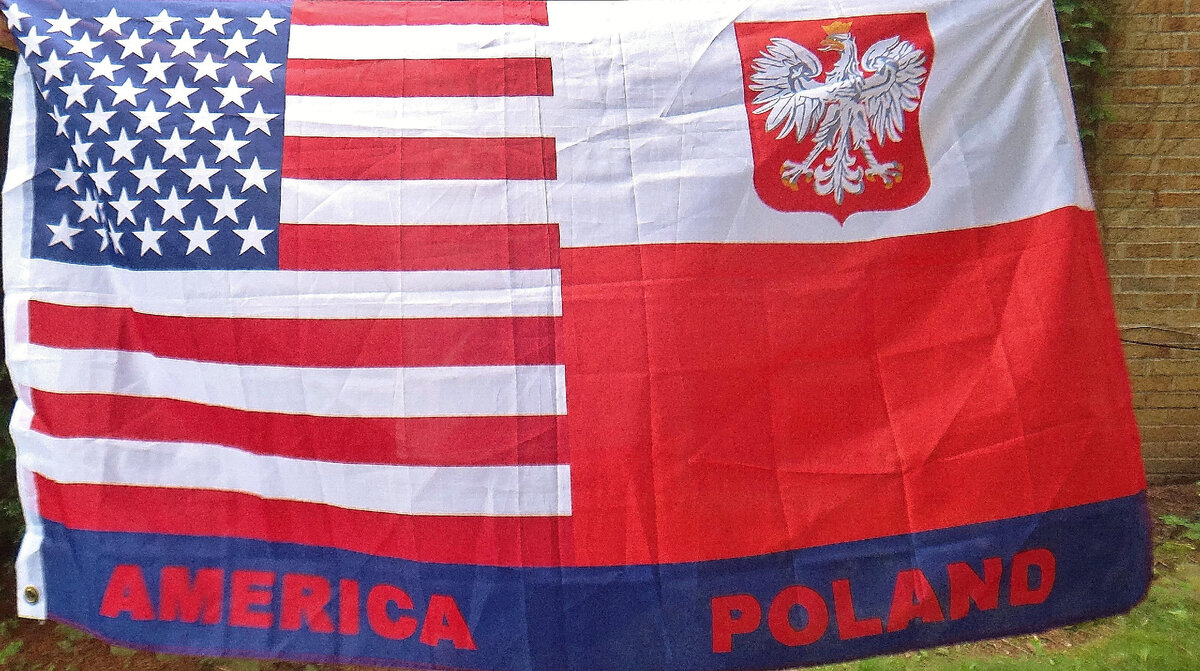 https://www.geopolitika.ru/sites/default/files/styles/natural/public/polish_american_flag.jpg?itok=KCE5WzdL