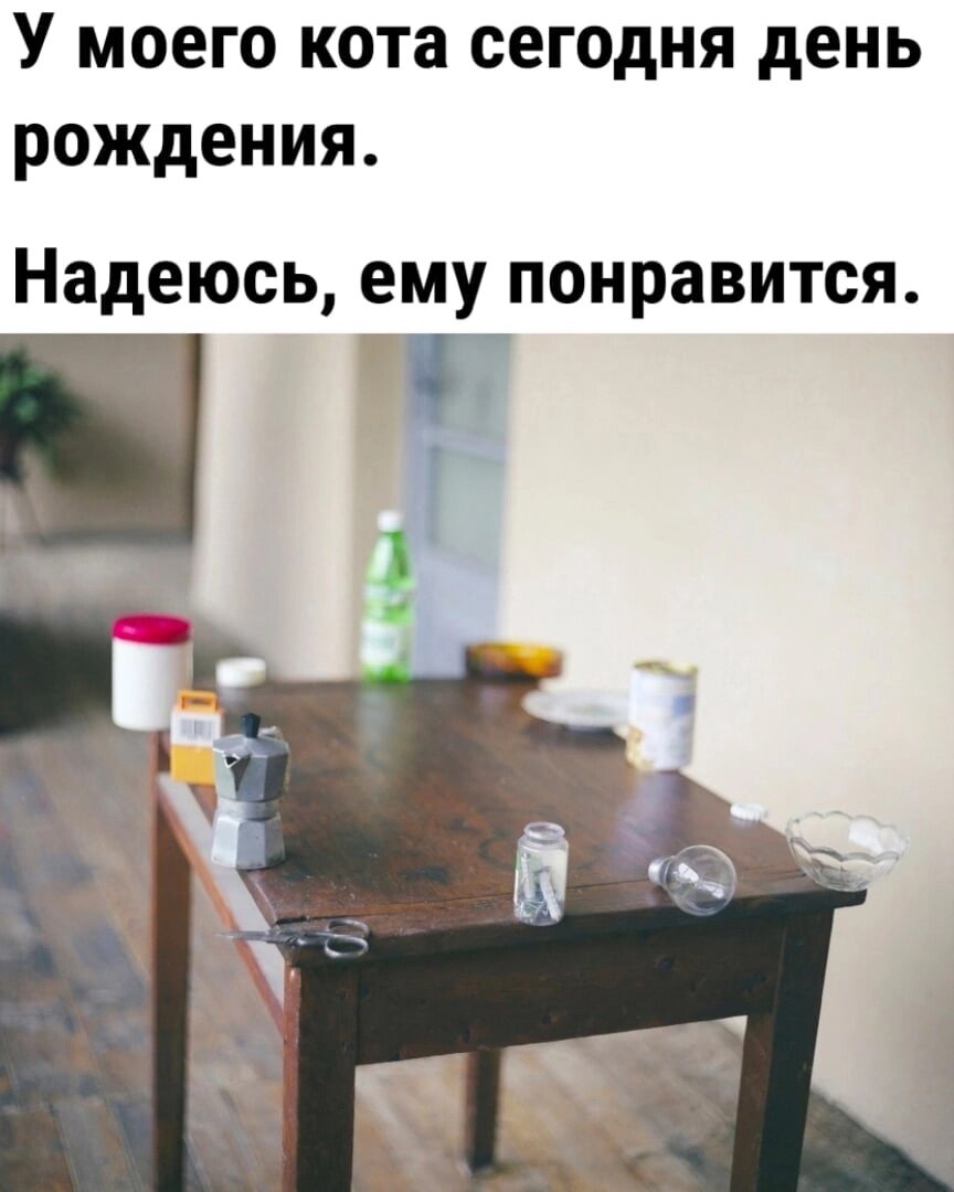 Сначала я ничего не заподозрила, а потом присмотрелась повнимательнее. Кажется, кот игрушечный. Повезло ему с хозяйкой! Такая маленькая, а уже всё поняла.