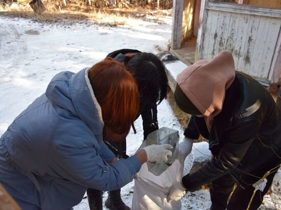     Фото: пресс-служба Тункинского нацпарка.