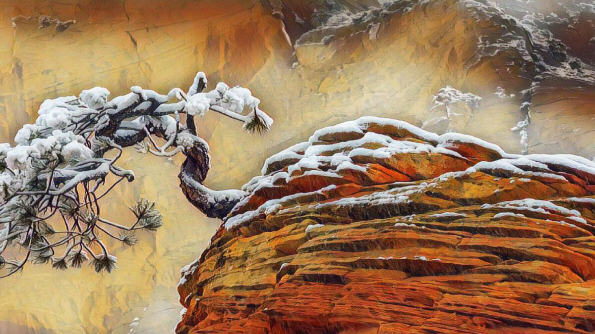 Деревце умудрилось вырасти на жестких крутых обрывах скалы. Маленькое, но цепкое!