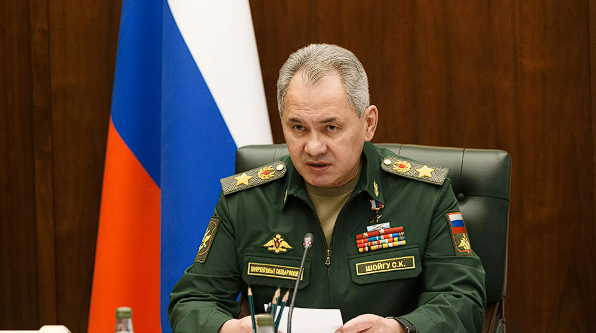 РИА Новости / Пресс-служба Минобороны РФ