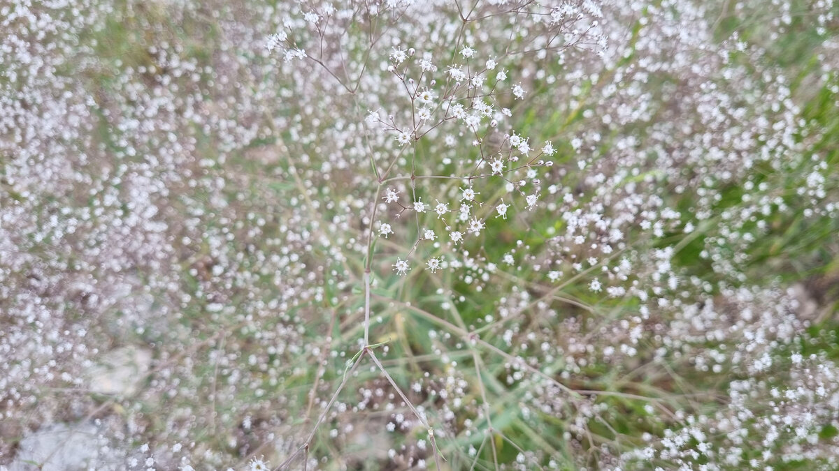 пытался в макросъемку