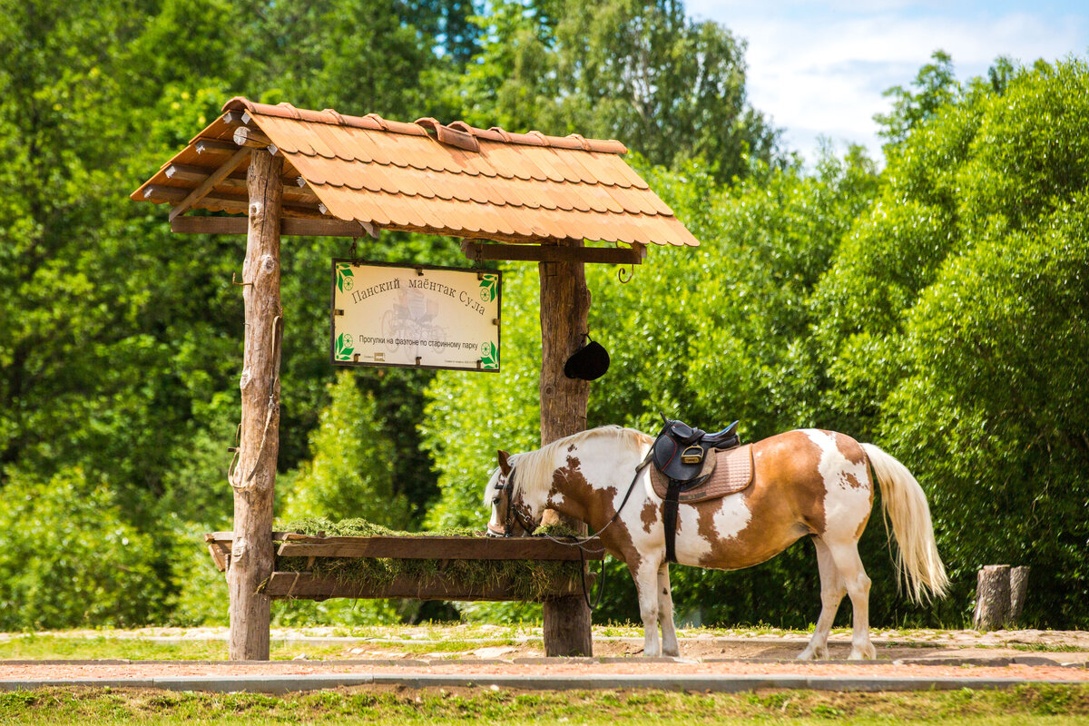 Парки в беларуси фото