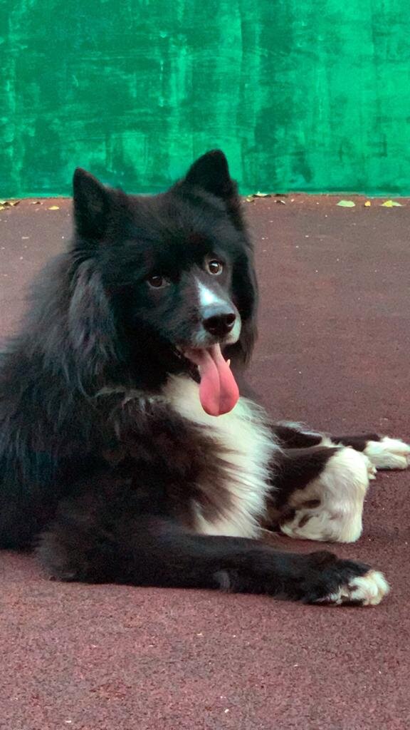 Фото моей дочки Кати