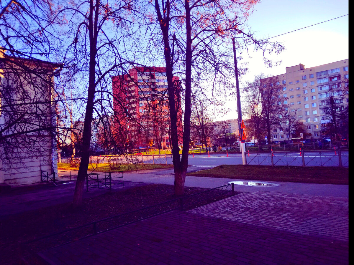 Фото автора Ирины Одарчук Тосно, Ленинградская область. Московское шоссе