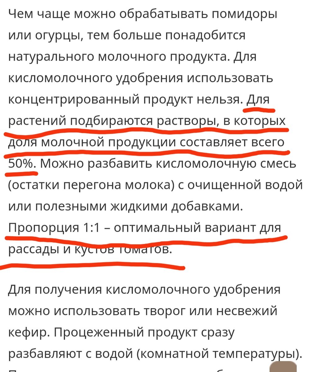 Подвергаем критике. Молоко с йодом для огурцов и томатов. Пугаем фитофтору  - бей своих, чтоб чужие боялись | Цветочная няша | Дзен