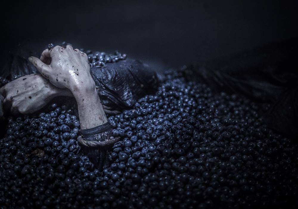 Изображение взято из открытых источников интернета. 