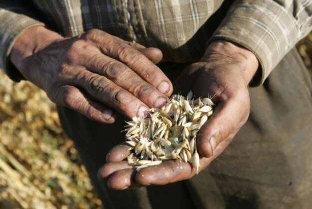    Сельское хозяйство 15min.lt