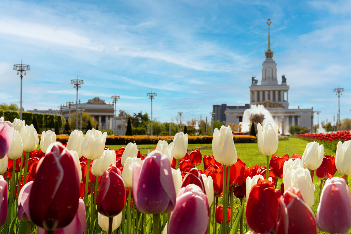 Вднх весной фото