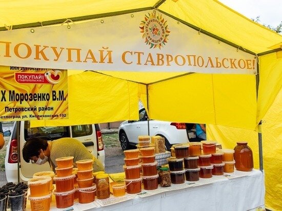     фото: пресс-служба администрации Ставрополя