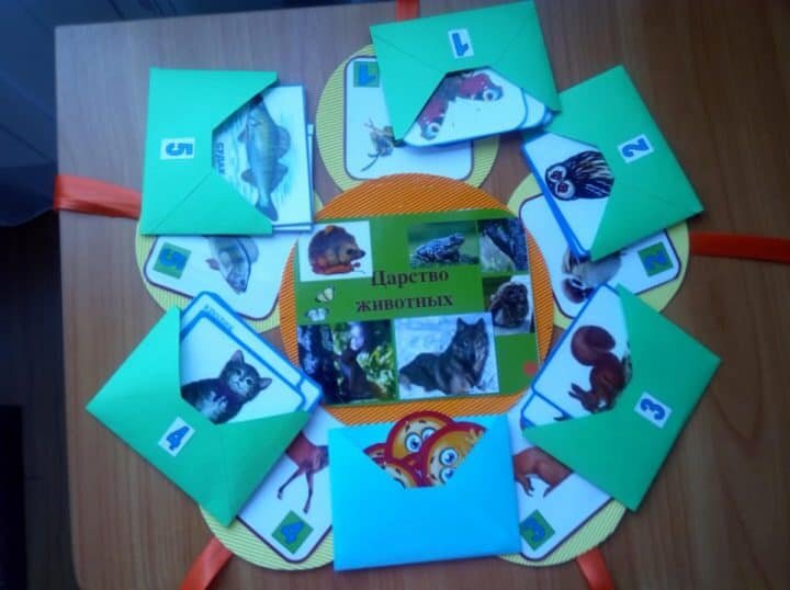 Влияние дидактических игр на воспитание экологической культуры детей старшего дошкольного возраста