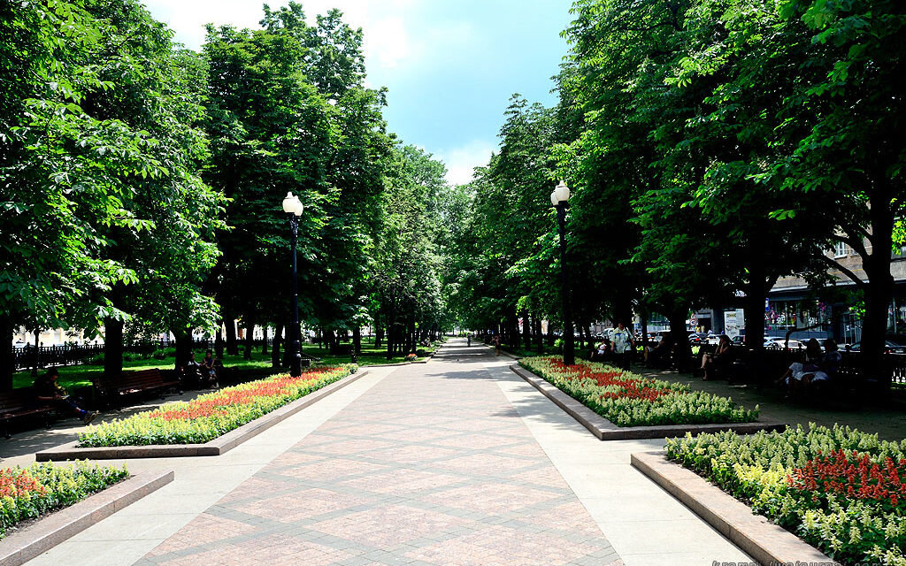 парковые дорожки. ландшафтный парк озеленение. тверской бульвар москва. липовая аллея сокольники. ботанический сад аугсбург.