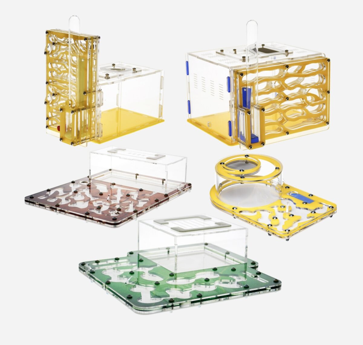 Муравьиные фермы blakant.ru 