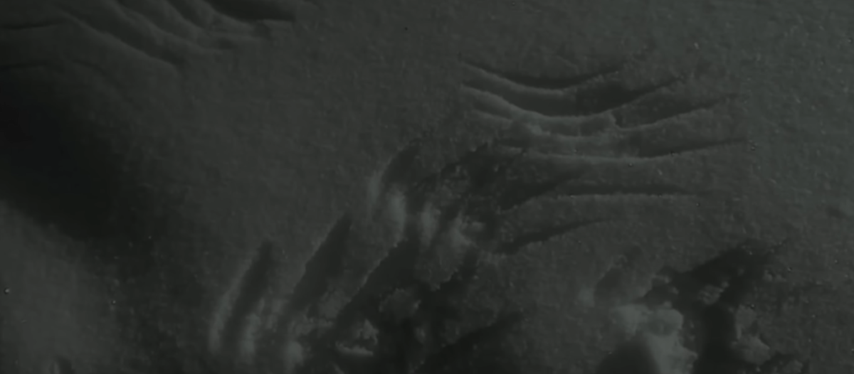 Изображение взято из открытого источника 