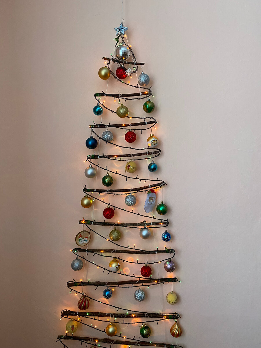 У каждой ёлки свой путь или сценарий. Моя ёлка зимой и летом одним цветом) Как думаете, почему?