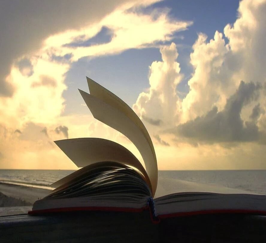 из открытого источника