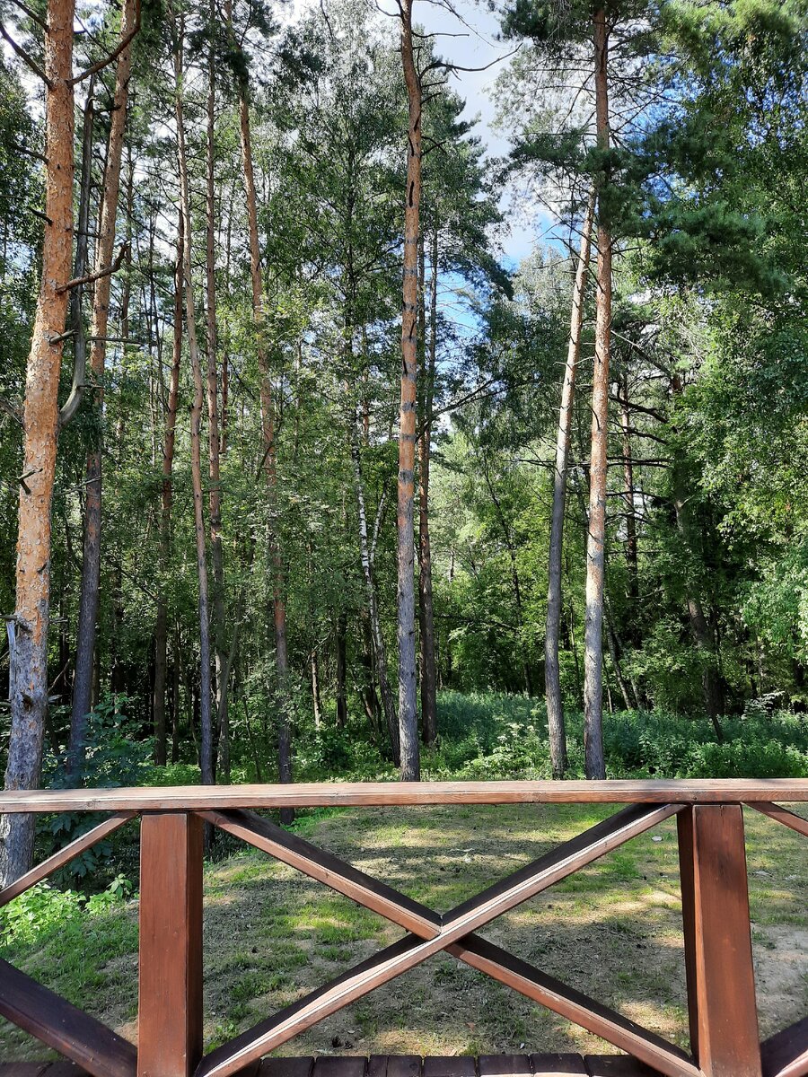 Фото автора.