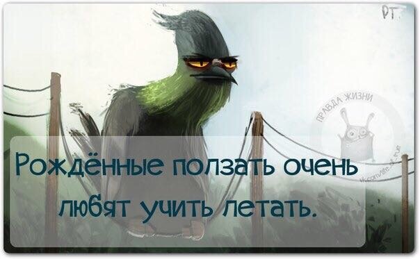 фото из интернета