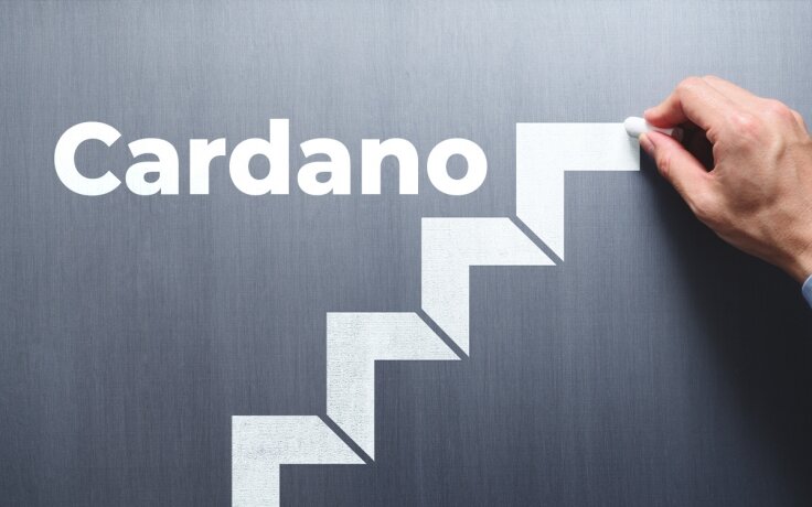 Источник изображения stock.adobe.com