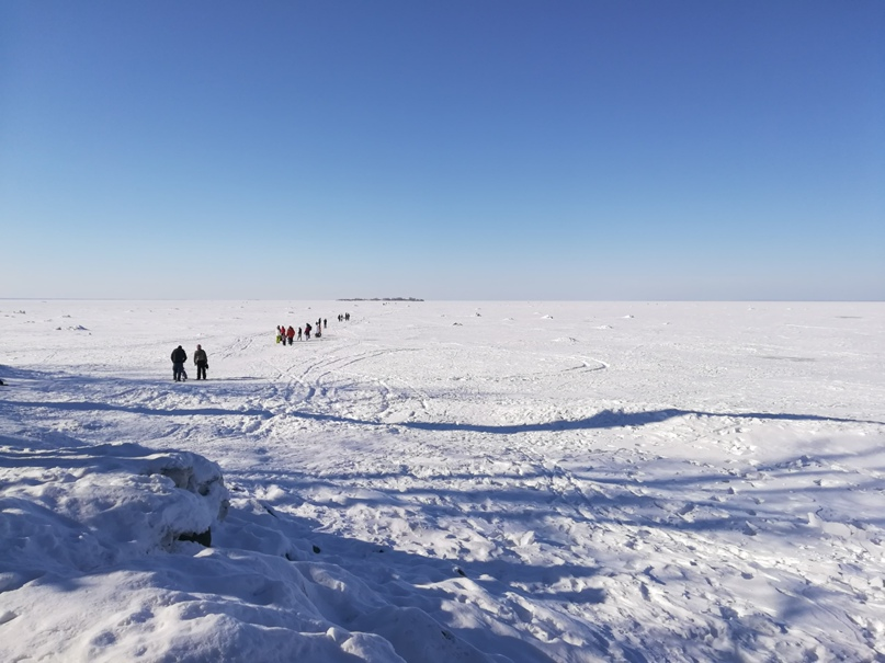 «Караван» людей упорно движется к своей цели — Тотлебену