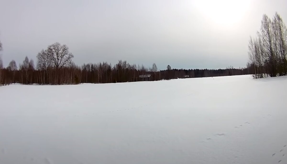 Заброшенная деревня на краю леса, что от нее осталось | Уйду в лес | Дзен