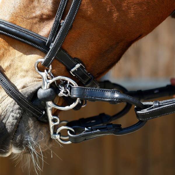 Фото из свободного источника.