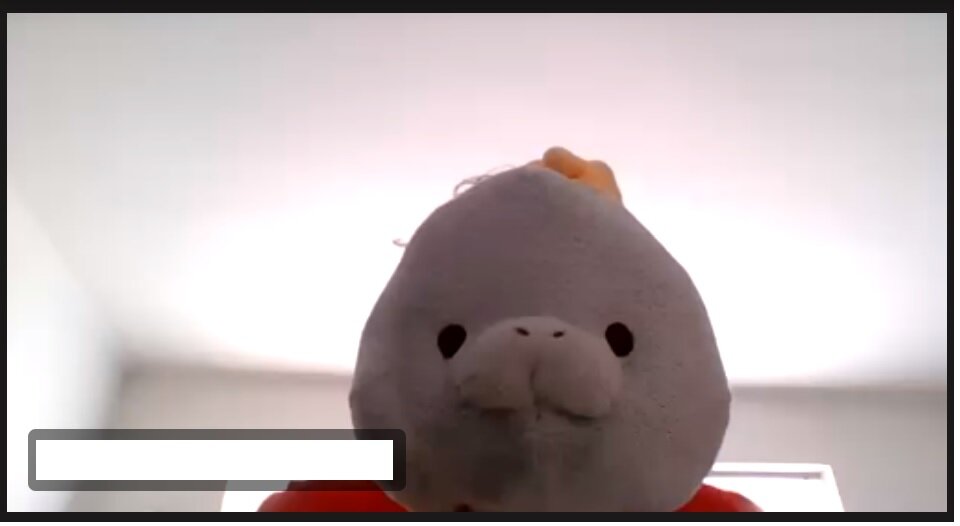 Мои ученики на удалёнке