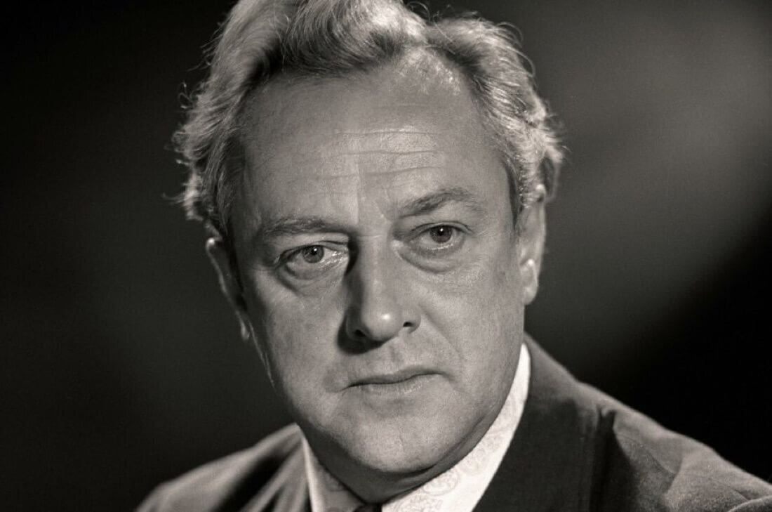 Владислав Стржельчик.Фото Яндекс.Картинки.