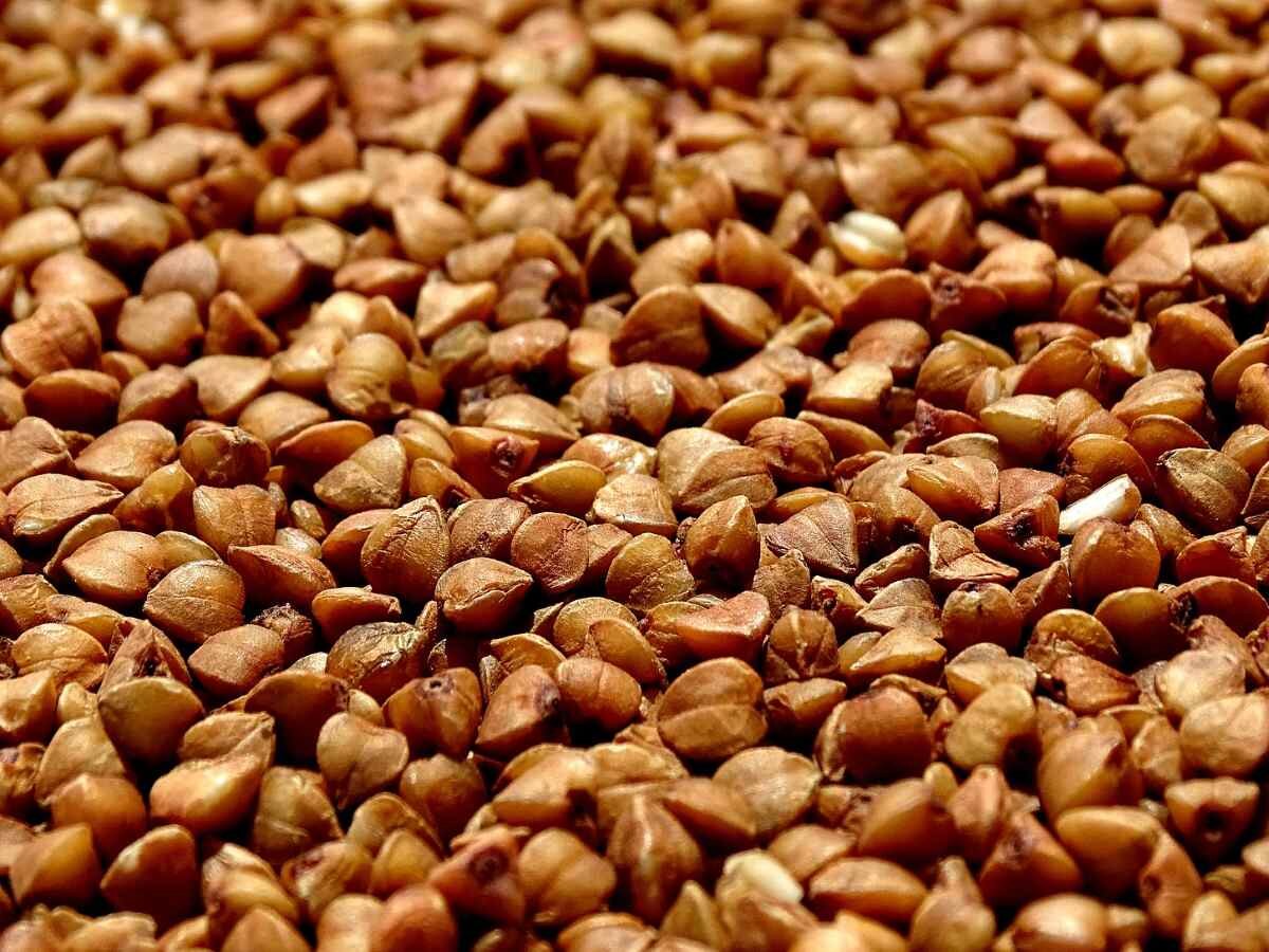 Гречневая диета, хоть и состоит всего из одного основного продукта, не так вредна для организма, как некоторые другие монодиеты, так как гречка крайне питательна и содержит много витаминов

