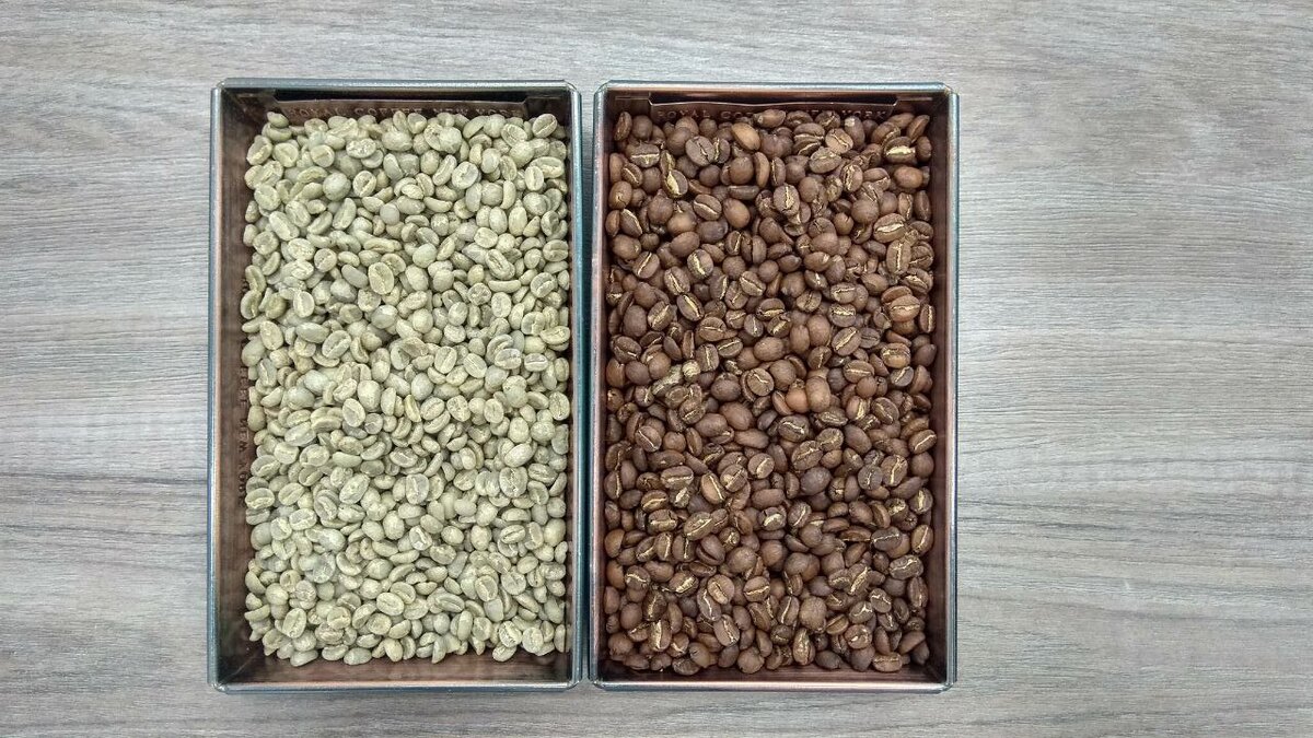 Образцы кофе: зеленый и обжаренный.
