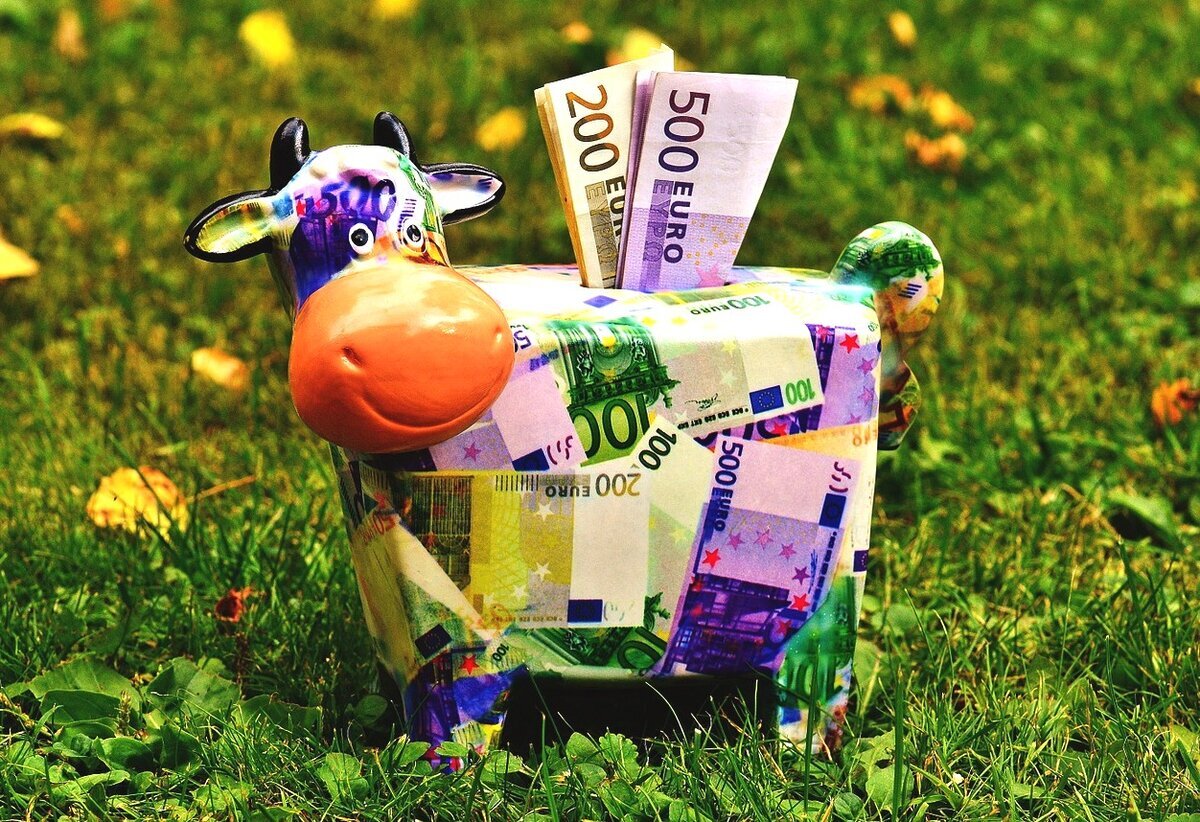 https://avatars.mds.yandex.net
