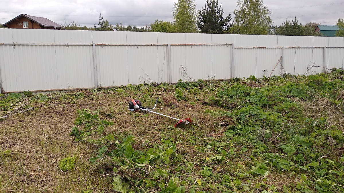 Мой участок и купленная бензокоса